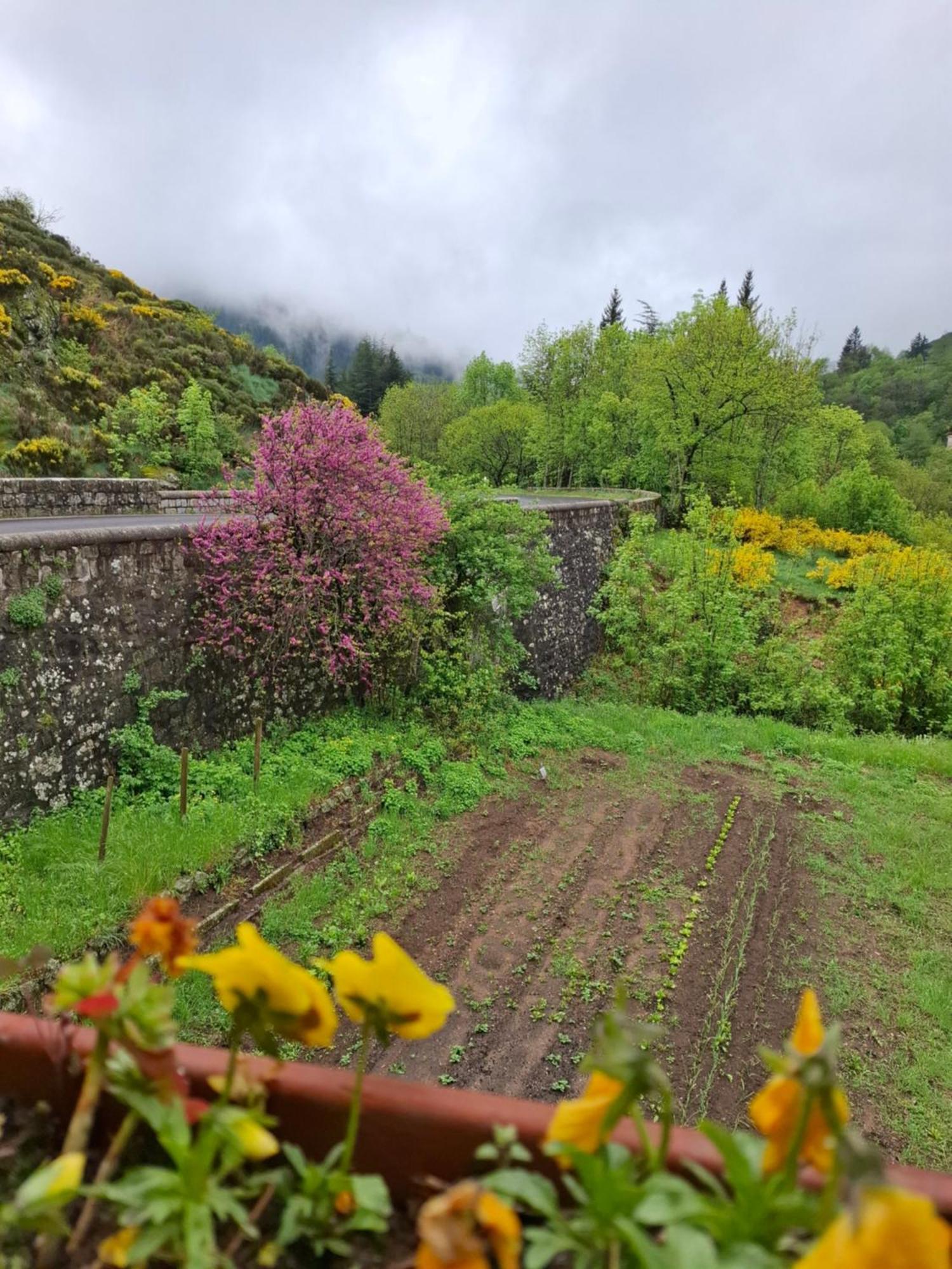 Auberge Arthea Laviolle Esterno foto