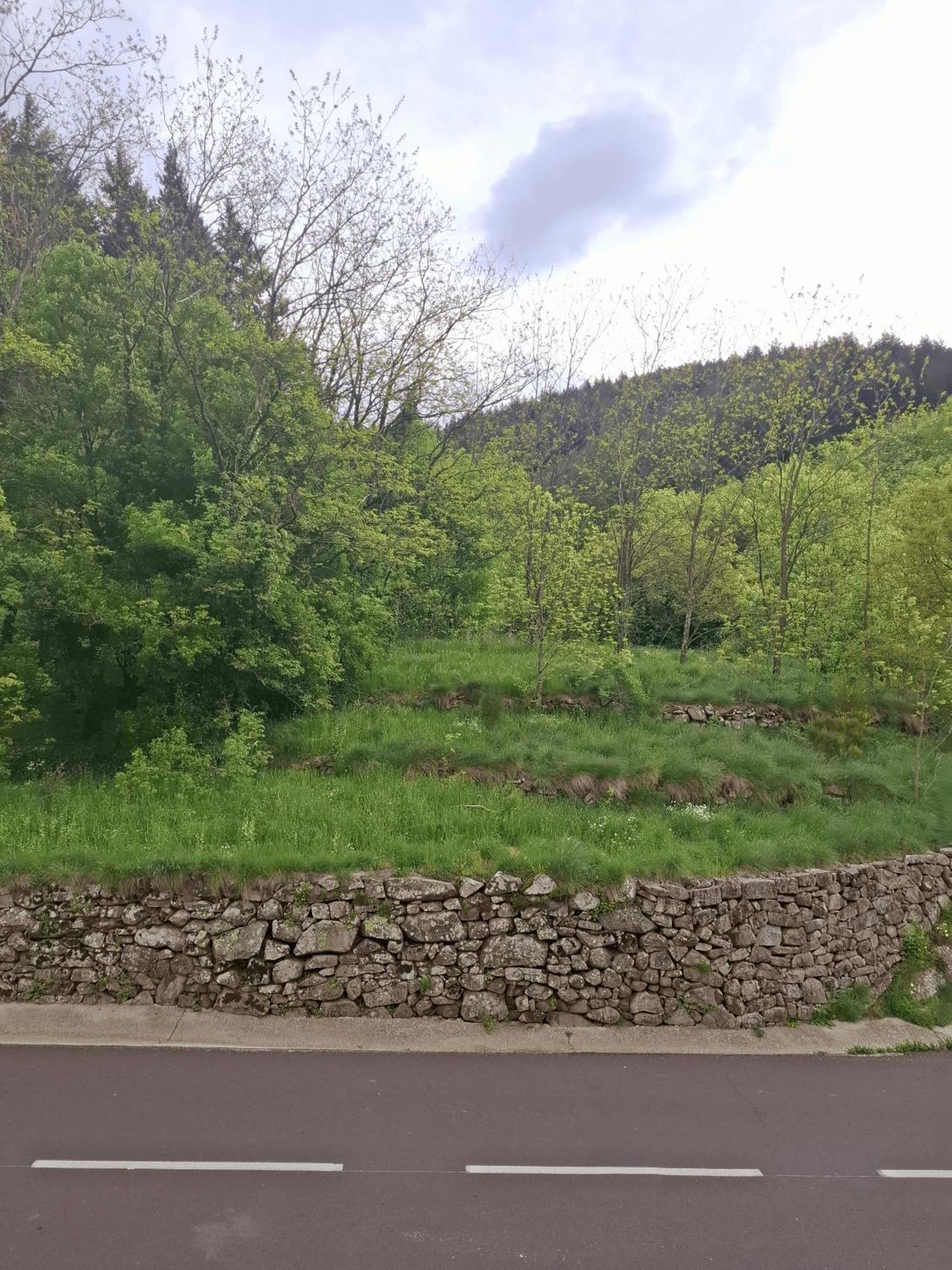 Auberge Arthea Laviolle Camera foto