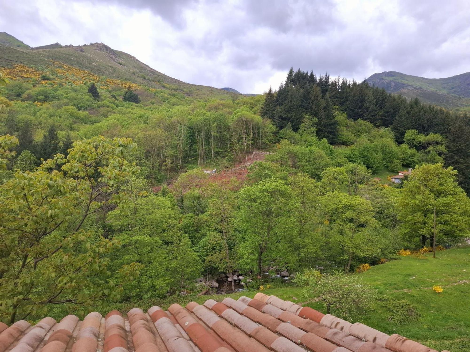 Auberge Arthea Laviolle Camera foto